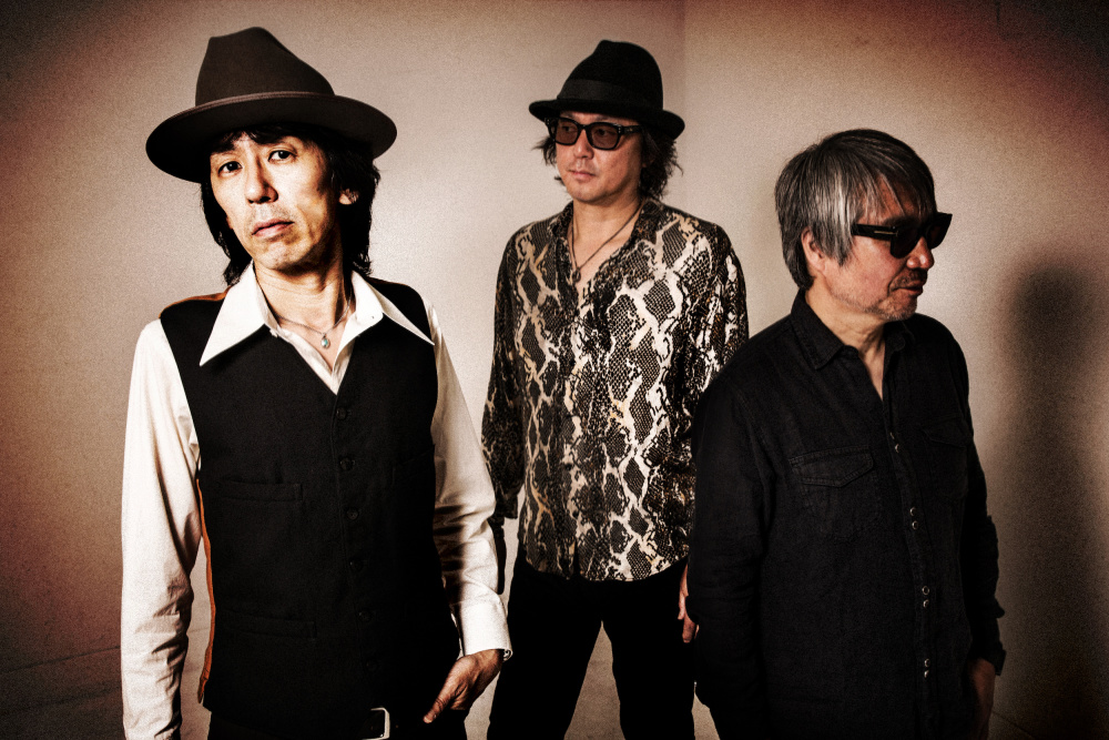 The Groovers