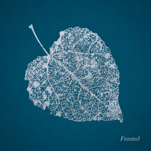 Listen to Frosted song with lyrics from Scrimshire