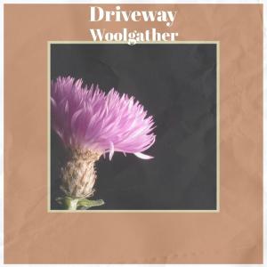 Various的专辑Driveway Woolgather