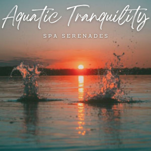 Aquatic Tranquility: Spa Serenades
