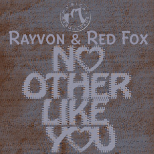 Album No Other Like You (feat. Rayvon & Red Fox) from Rayvon