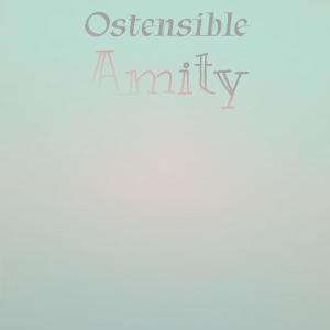 Various Artists的專輯Ostensible Amity