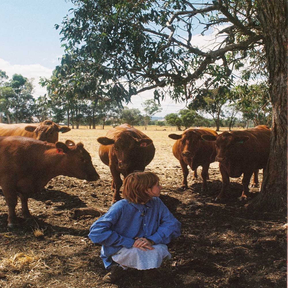Grab The Bull