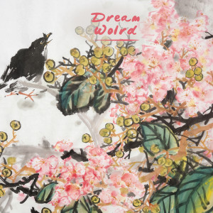 Album Namaste from Dreamworld Musica Rilassante per Studiare