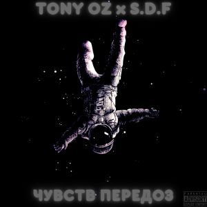 Listen to Чувств передоз song with lyrics from Tony Oz