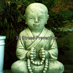 Japanese Relaxation and Meditation的专辑33 Stress Prevention