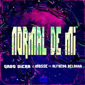 ดาวน์โหลดและฟังเพลง Normal de mi พร้อมเนื้อเพลงจาก Gabo Viera