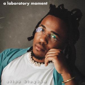 Allan Kingdom的專輯a laboratory moment (Explicit)