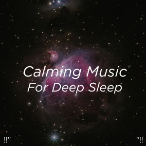 Dengarkan Relaxing Music And Gentle Rain lagu dari Deep Sleep Music Collective dengan lirik