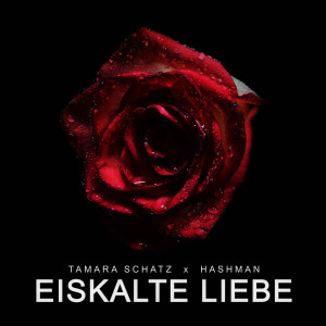 Listen to Eiskalte Liebe song with lyrics from Tamara Schatz