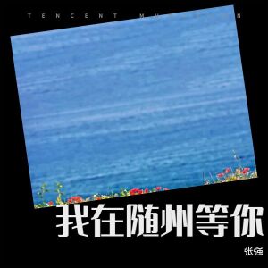 Album 我在随州等你 from 张强