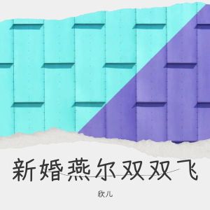 Listen to 新婚燕尔双双飞 (伴奏) song with lyrics from 欣儿