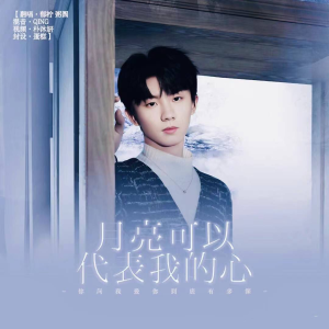Album 月亮可以代表我的心 from 