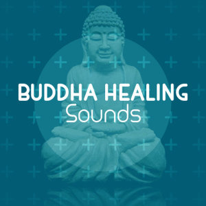 收聽Buddha Sounds的Distractions歌詞歌曲
