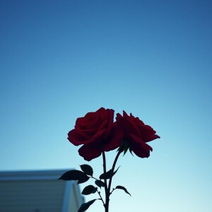 收聽Hariom Kumar的Moonlith Whispers歌詞歌曲