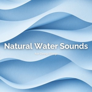 Dengarkan 疲れを癒やすやすらぎの音 (波) lagu dari Water Sounds for Deep Sleep dengan lirik