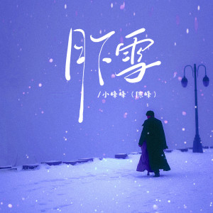小峰峰（陳峰）的專輯月下雪