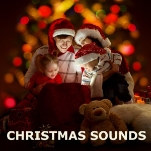 收聽Christmas Songs的Have Yourself a Merry Little Christmas (Marimba)歌詞歌曲