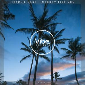 Album Nobody Like You from 