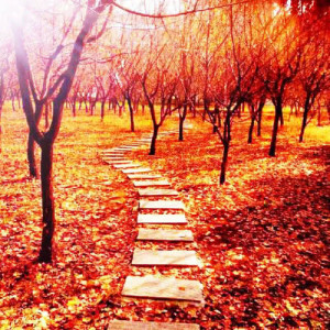 Listen to The sun is fine, the breeze is quiet song with lyrics from 何石