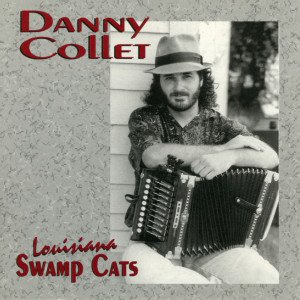 ดาวน์โหลดและฟังเพลง Didn't Wanna Do It พร้อมเนื้อเพลงจาก Danny Collet