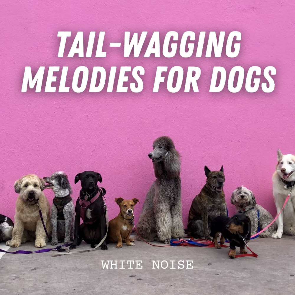 Peaceful Puppy Playlist