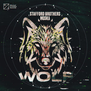 收聽Stafford Brothers的Wolf歌詞歌曲