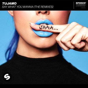 อัลบัม Say What You Wanna (The Remixes) ศิลปิน Tujamo