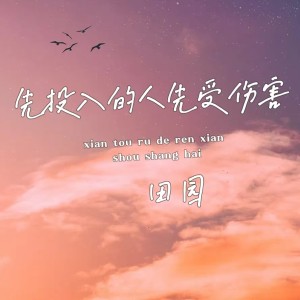 อัลบัม 先投入的人先受伤害 ศิลปิน 田园