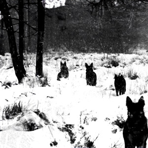 ดาวน์โหลดและฟังเพลง Zampa Fantasma พร้อมเนื้อเพลงจาก Psykh