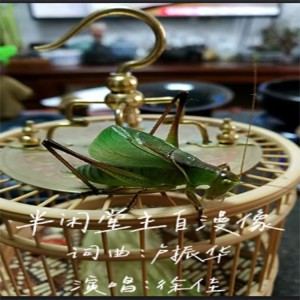 Listen to 半闲堂主自漫像 (其他) song with lyrics from 徐佳