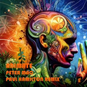 收听Peter Mac的Animate (Paul Hamilton Remix)歌词歌曲