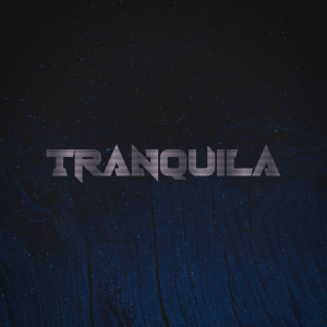 ดาวน์โหลดและฟังเพลง Tranquila (Explicit) พร้อมเนื้อเพลงจาก S. MALARIA