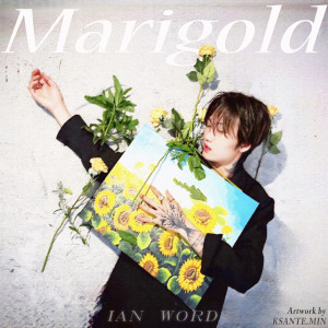 Album Marigold from 