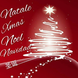 收聽Cinzia Oscar的Notte 'e Natale歌詞歌曲
