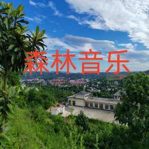 Listen to 荣盛之歌领唱版 (伴奏) song with lyrics from 孙树森