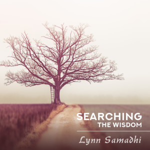 Listen to Clarity song with lyrics from Lynn Samadhi