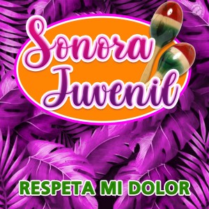 ดาวน์โหลดและฟังเพลง Respeta Mi Dolor พร้อมเนื้อเพลงจาก Sonora Juvenil
