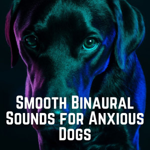 Album Smooth Binaural Sounds for Anxious Dogs from Binaural Beat