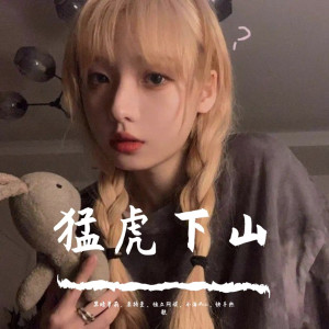 收聽黑暗蘿莉的猛虎下山（2020最新首發DJ版）歌詞歌曲