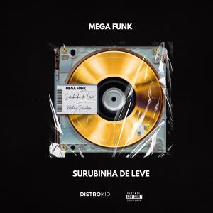 收聽Dj Matheus Possidonio的MEGA FUNK SURUBINHA DE LEVE歌詞歌曲