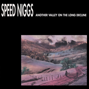 Album Another Valley On The Long Decline from Speed Niggs