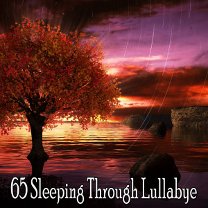 收聽Sleep Sounds of Nature的Highlighting the Sleep歌詞歌曲