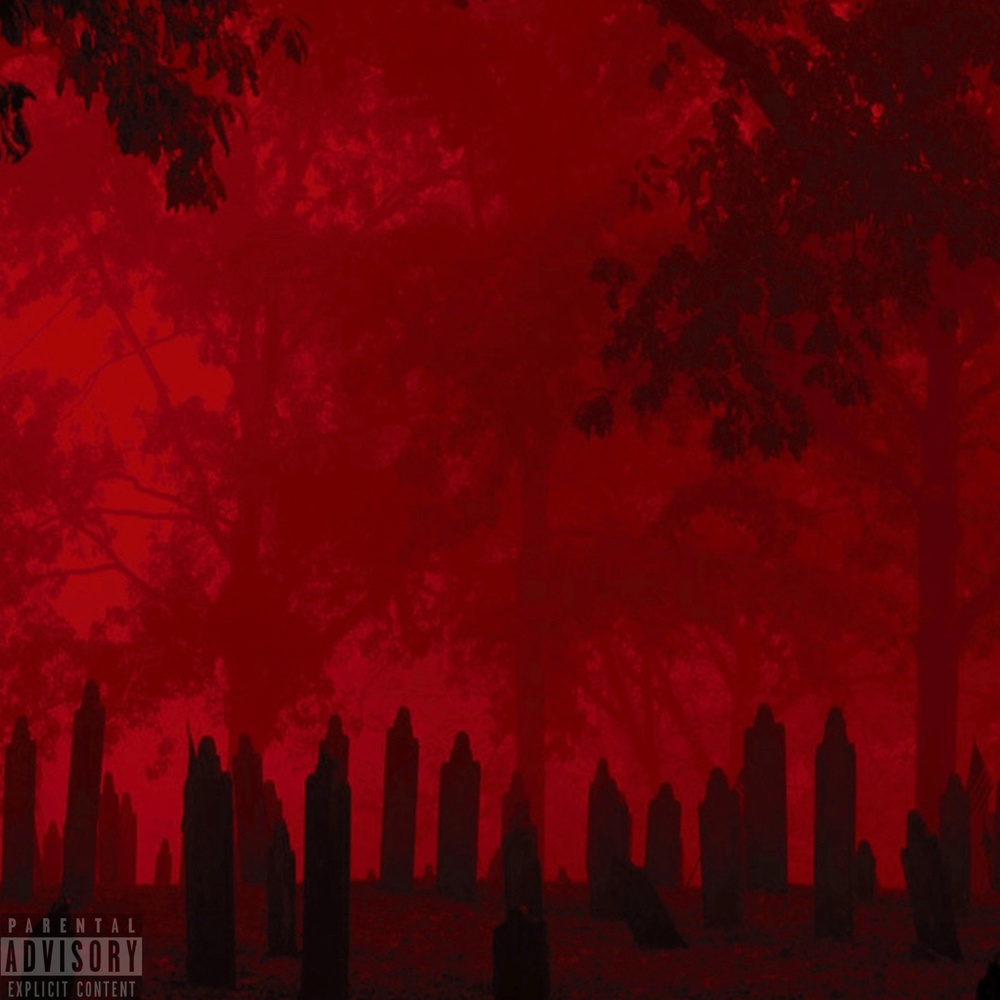 TN 2 OR (Explicit)
