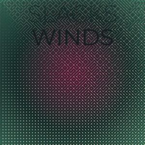 Various Artists的专辑Slacks Winds