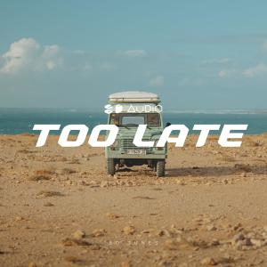 Album Too Late from 8D Audio