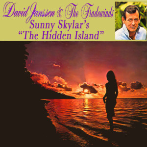 ดาวน์โหลดและฟังเพลง When I Look at You พร้อมเนื้อเพลงจาก David Janssen