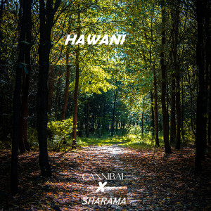Listen to Hawani (Hiphop|Explicit) song with lyrics from Cannibal