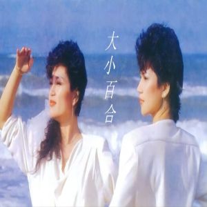 百合二重唱的專輯大小百合