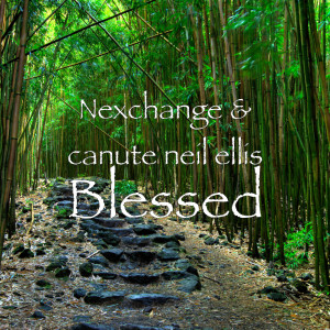 Listen to Blessed song with lyrics from Nexchange